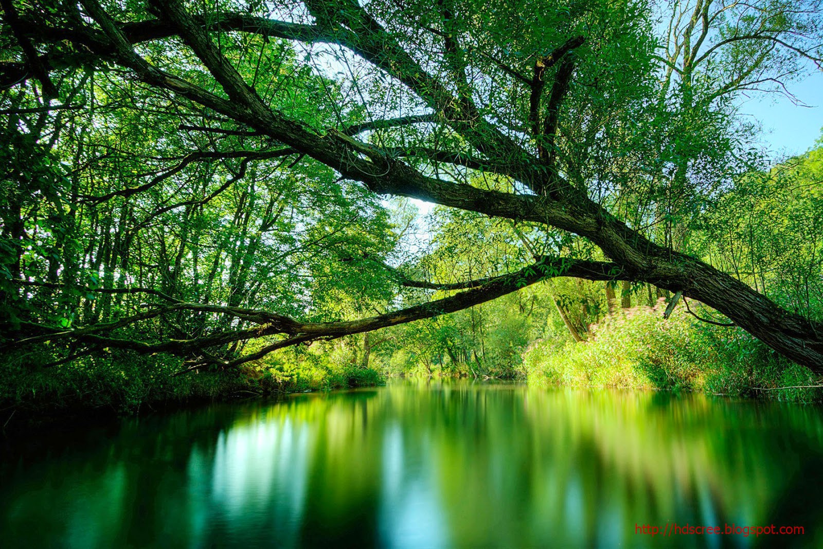 Top 10 Free Screensavers 2019 for Windows 10